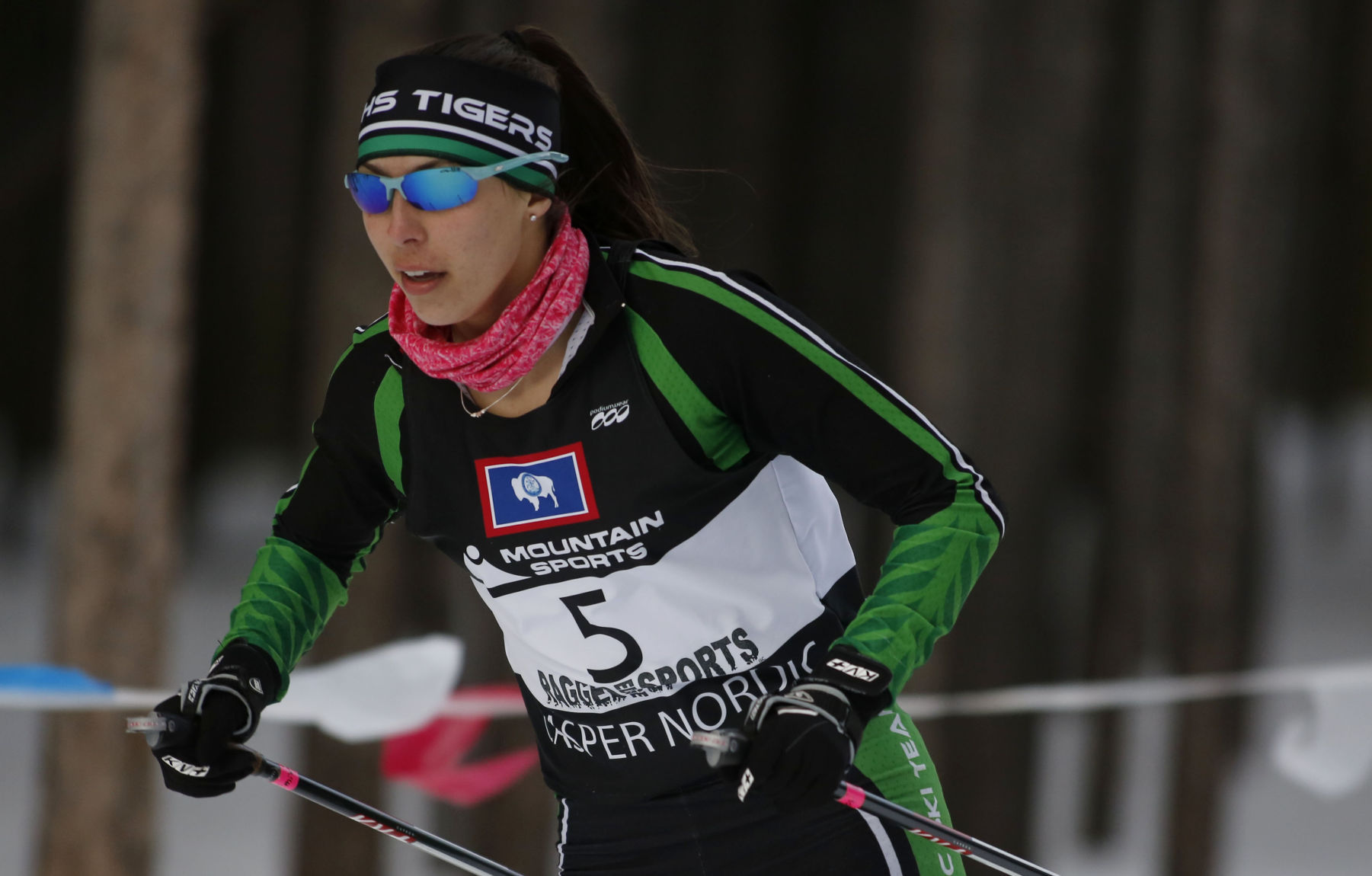 Nordic Skiing